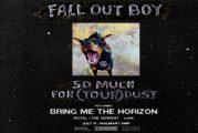Fall Out Boy 7/11
